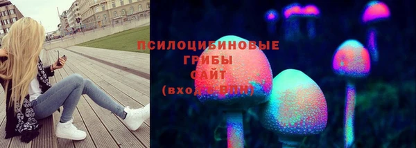 метадон Армянск