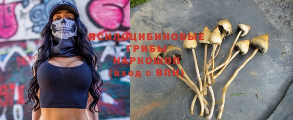 метадон Армянск