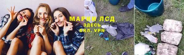 мяу мяу мука Аркадак