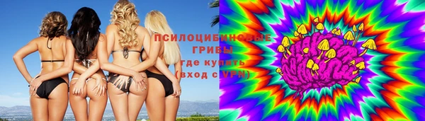 герыч Арсеньев