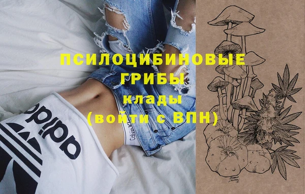 метадон Армянск
