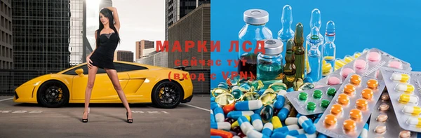 мяу мяу мука Аркадак